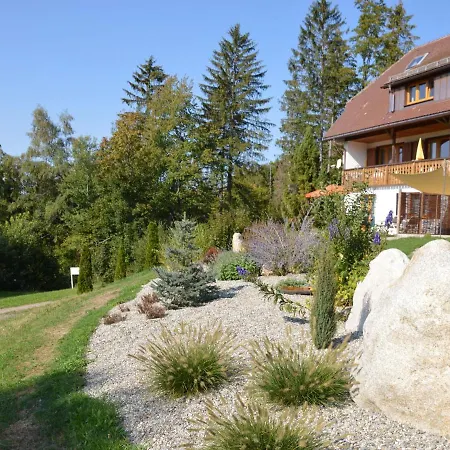 In The Black Forest With Balcony Apartment *
